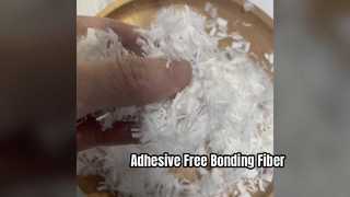 আঠালো-মুক্ত বাইকম্পোনেন্ট বন্ডিং ফাইবার 2D*6MM, ফিল্টার এবং অটোমোটিভের জন্য হিট ফিউজিবল স্ট্যাবল ফাইবার
