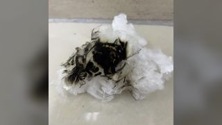 বায়োডিগ্রেডেবল হাই ফ্লেম রিটার্ডেন্ট লাইওসেল স্ট্যাপল 1.33D*38MM, স্পিনিং এবং ননওয়ের জন্য ইউনিফর্ম কাট ফাইবার