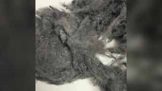 কালো অগ্নি প্রতিরোধক এক্রাইলিক ফাইবার 1.5D*32mm, উচ্চ তাপমাত্রা প্রতিরোধী প্রধান ফাইবার