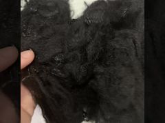 2.5D*64mm নেটিভ পুনর্ব্যবহৃত 2D ফাঁপা ফাইবার