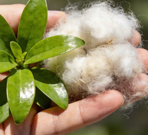 সম্পর্কে সর্বশেষ কোম্পানি খবর কালো ও সাদা ফাঁপা ফাইবার: টেক্সটাইল ও শিল্প উৎপাদনের জন্য সেরা পছন্দ