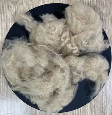 ভালো দাম পুনর্ব্যবহৃত পলিস্টার স্ট্যাপল ফাইবার 5D 51mm বেজ গ্রেড A অনলাইন