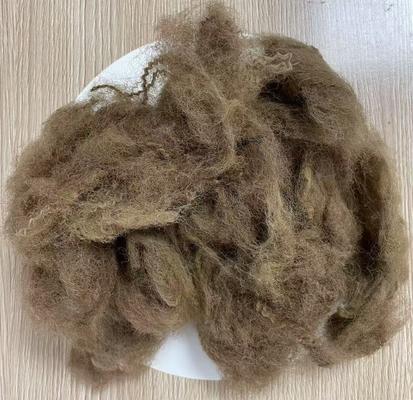 ভালো দাম নিম্ন প্রসারিত পুনর্ব্যবহৃত পলিস্টার স্ট্যাপল ফাইবার 25D 65mm গভীর উট রঙ অনলাইন