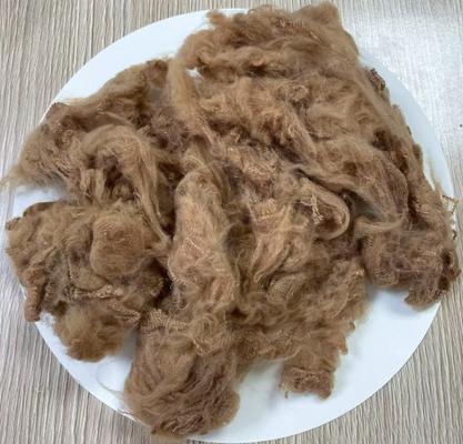 ভালো দাম পুনর্ব্যবহৃত পলিস্টার স্ট্যাপল ফাইবার 1.5D 38mm হালকা উট অনলাইন