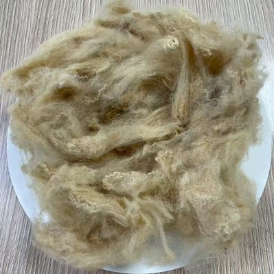 ভালো দাম 6 ডি পুনর্ব্যবহৃত পলিয়েস্টার স্ট্যাপল ফাইবার 51 মিমি বেজ উচ্চ দৃঢ়তা অনলাইন