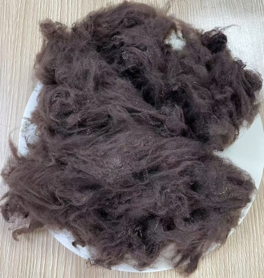 ভালো দাম নন সিলিকোনাইজড রিসাইকেলড পলিয়েস্টার ফাইবার 1.5D 38mm ডার্ক কফি অনলাইন
