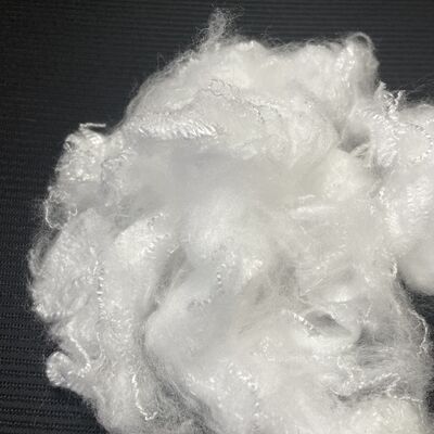ভালো দাম সাদা পলিপ্রোপিলিন স্ট্যাপল ফাইবার 2D×51mm হালকা ও টেকসই ফিল্টার এবং প্যাডিং উপকরণের জন্য অনলাইন